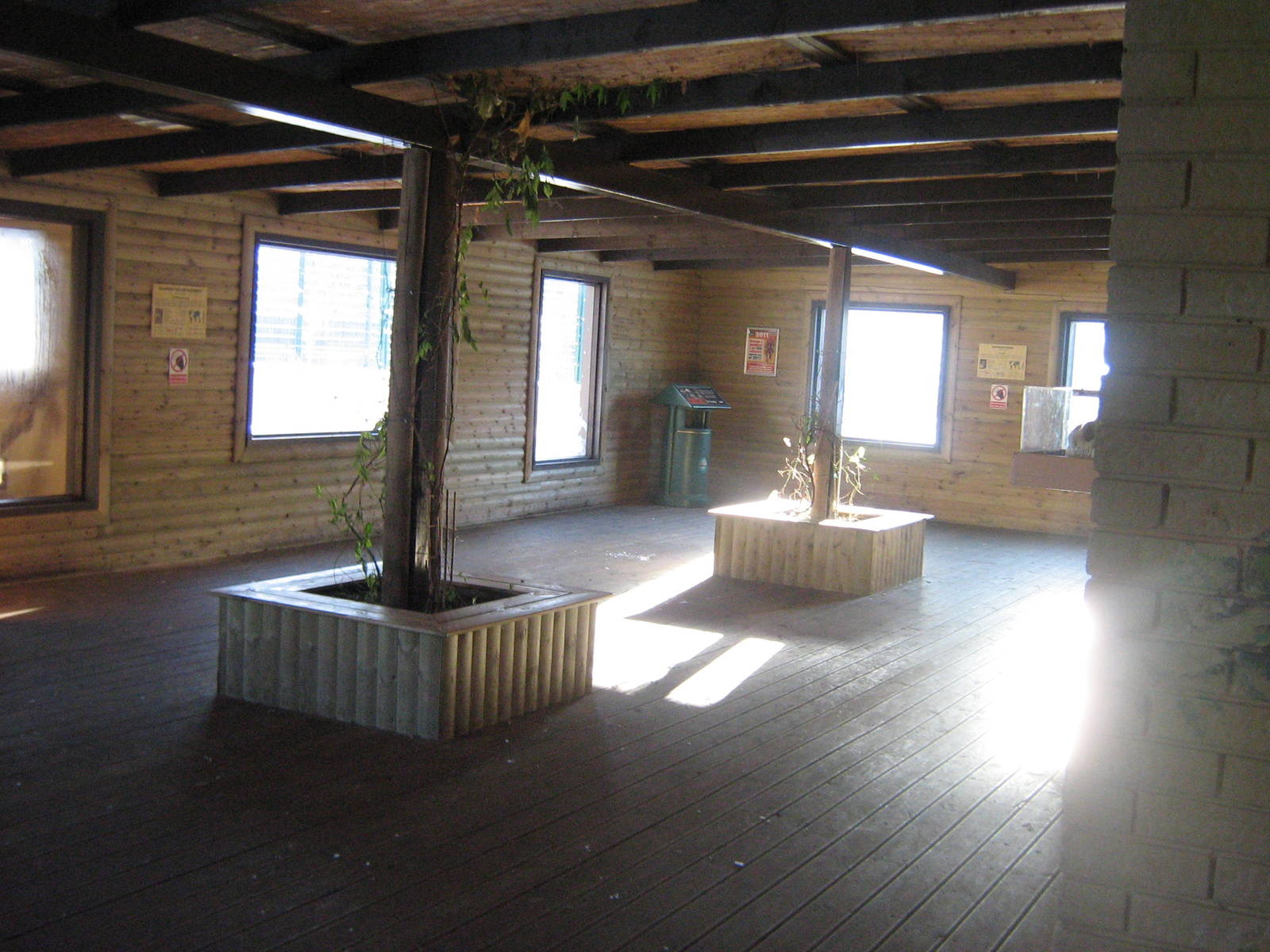 Inside the Big Cat House.