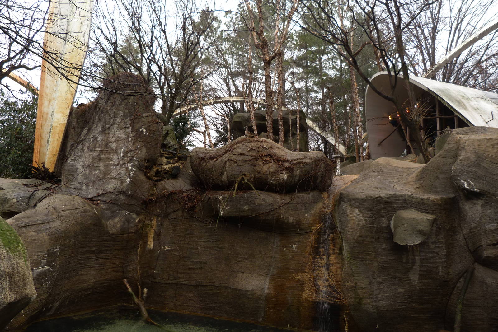 Inside the Bird Aviary