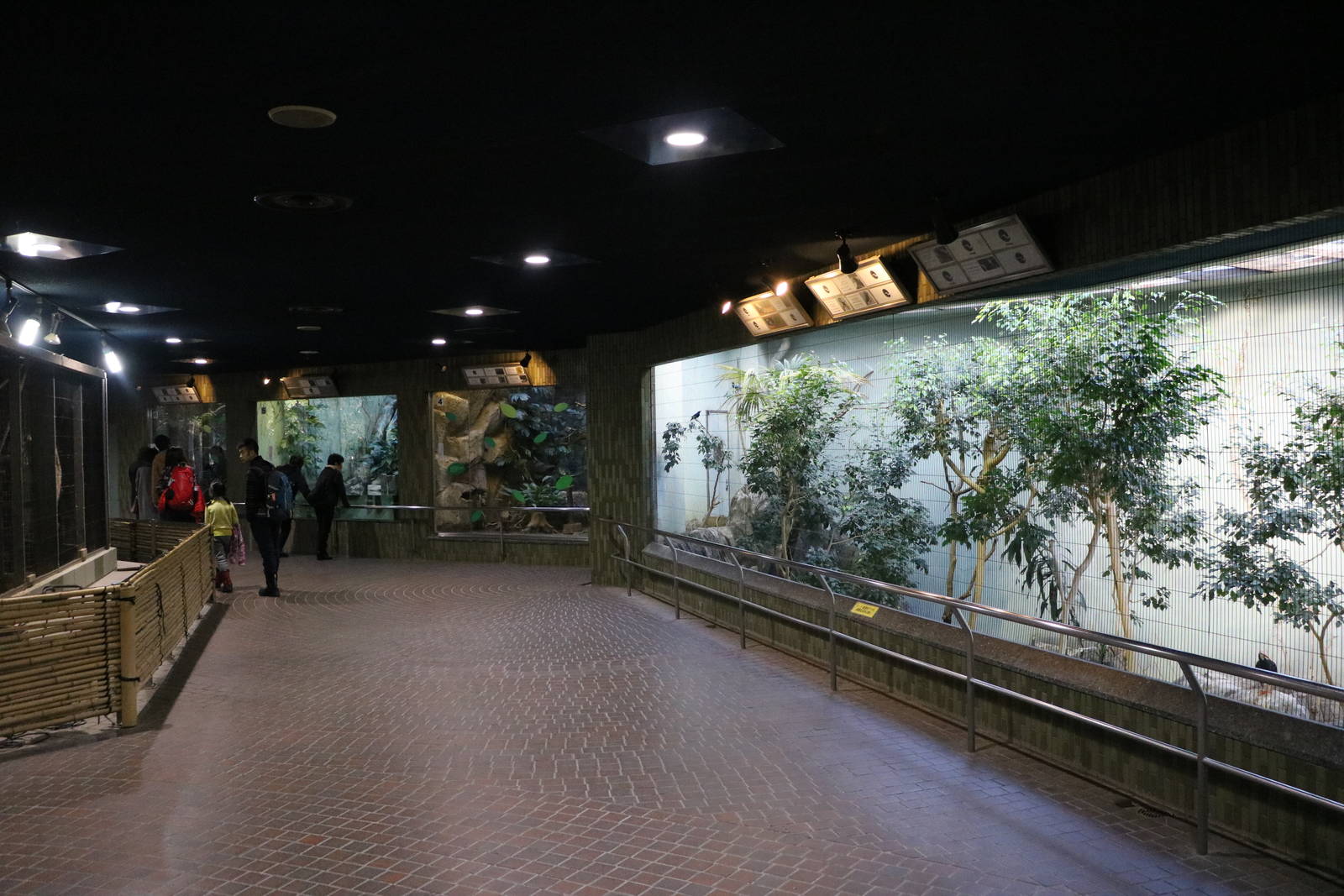 Inside the bird house, February 2016