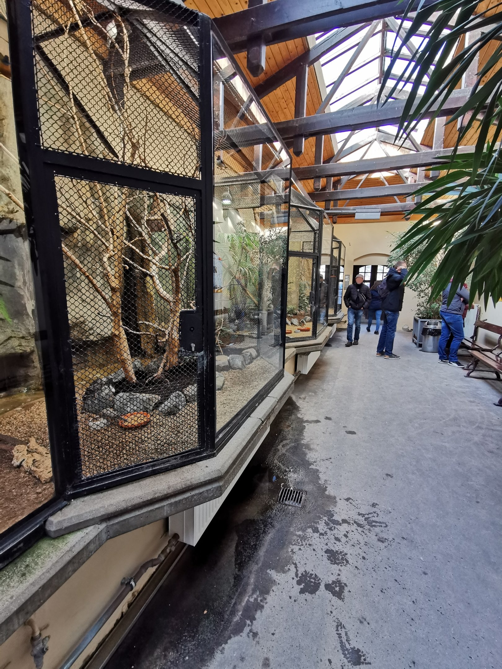 Inside the Bird house - Tierpark Hagenbeck