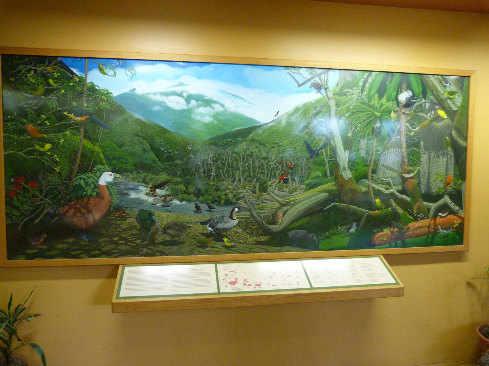 Inside the Bird House