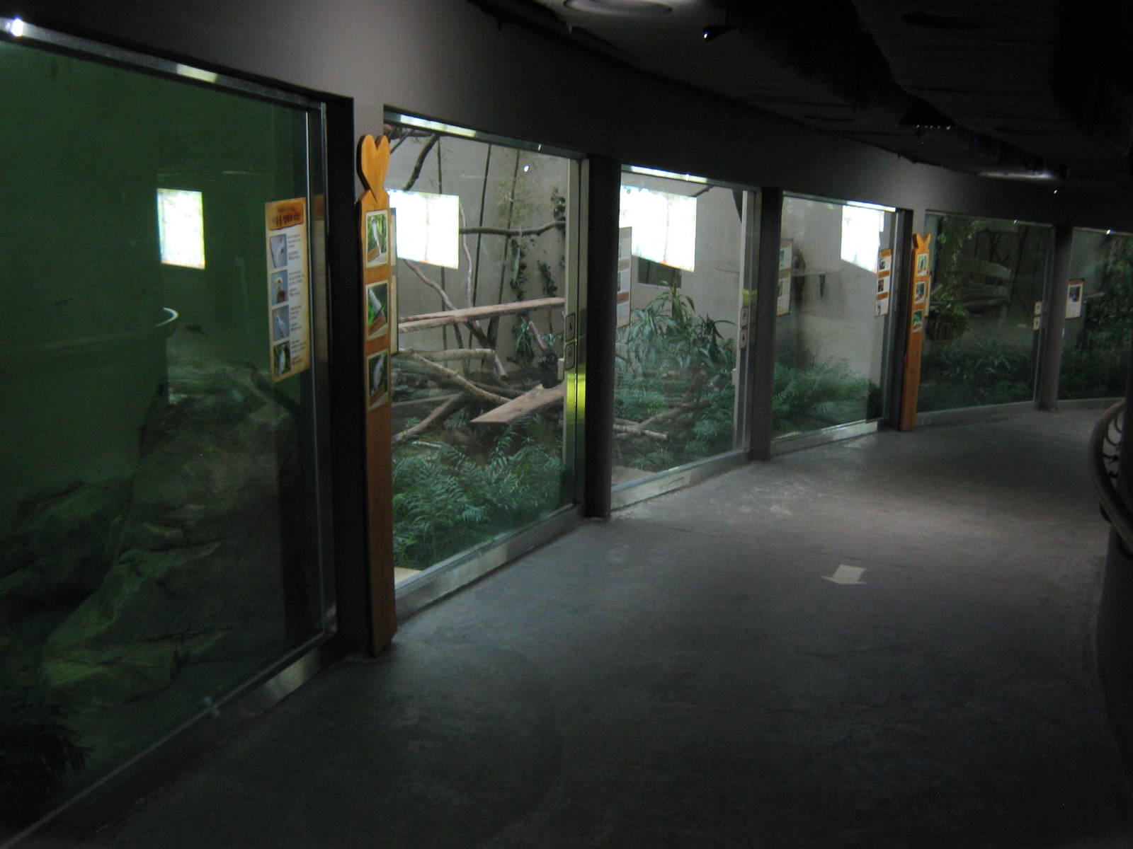 inside the Bird House