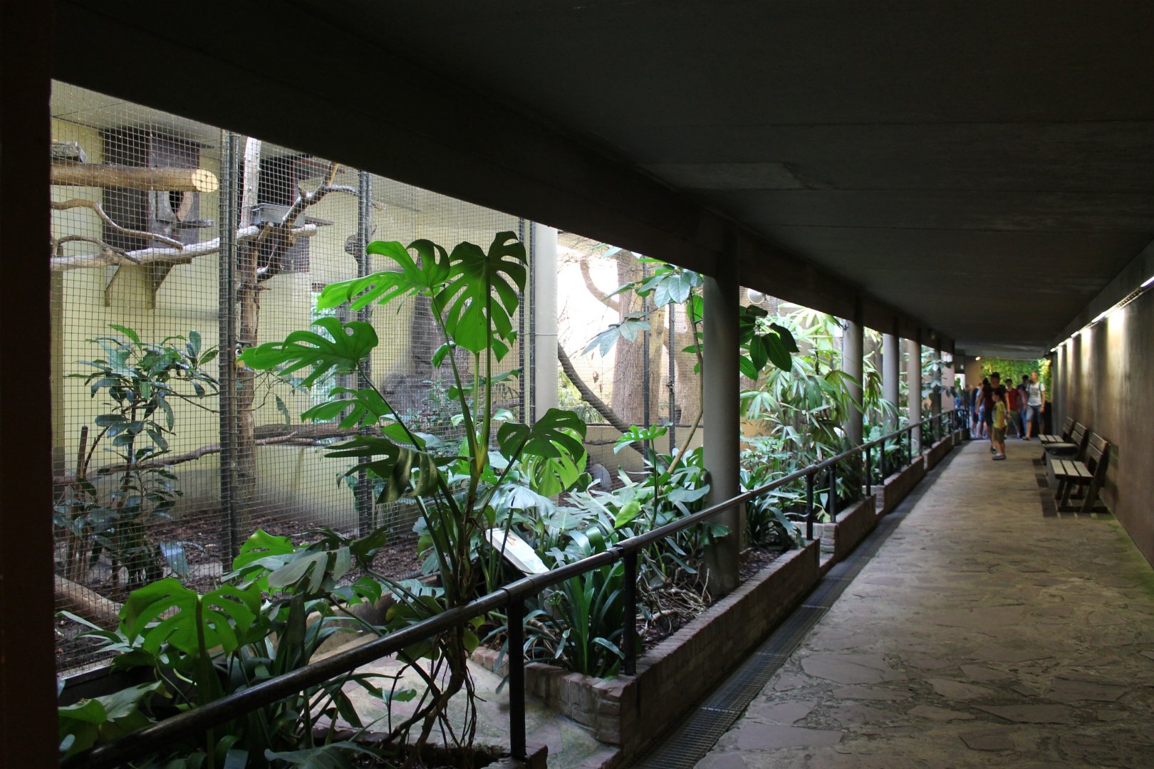 Inside the Bird House