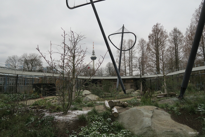 Inside the bird tent