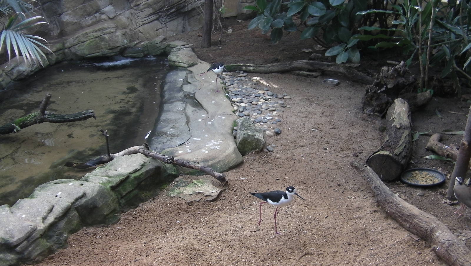Inside the Blackburn Pavillion - 24.03.2012