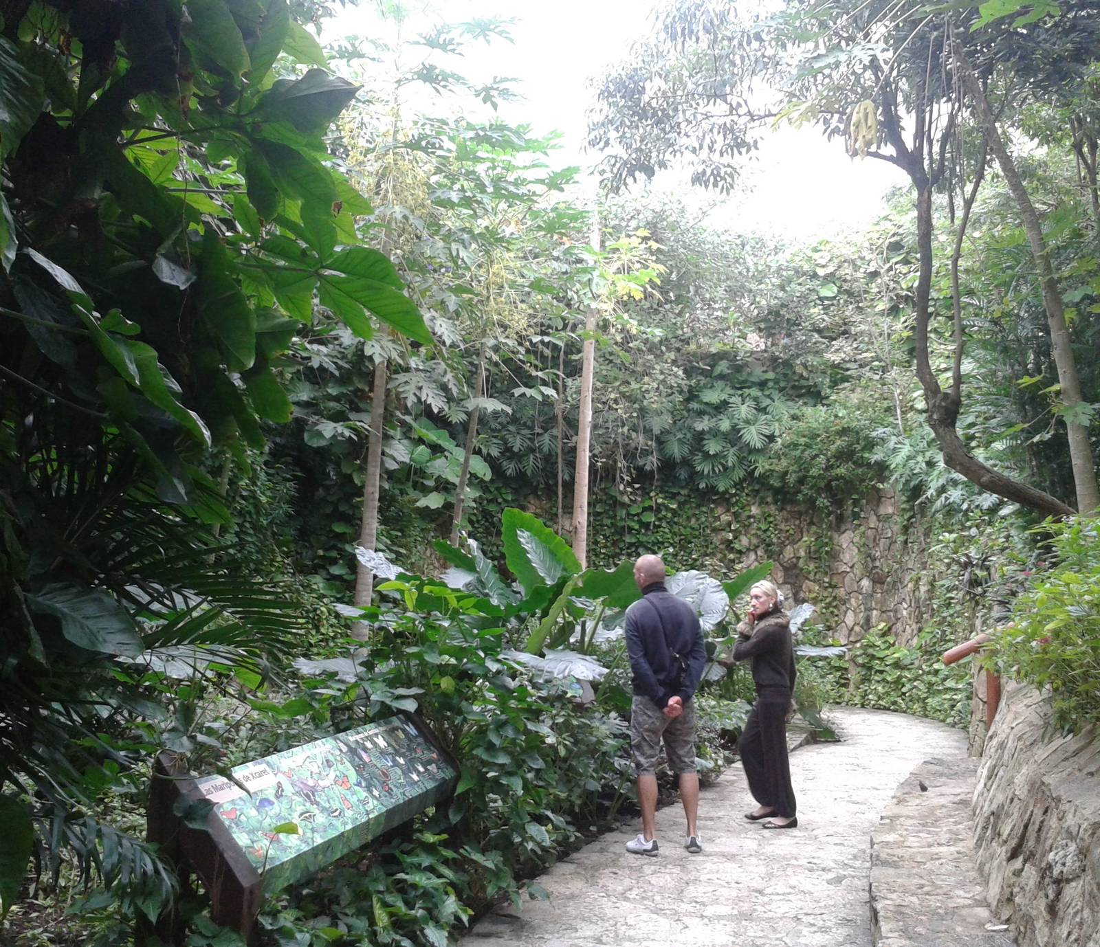 Inside the butterfly hall