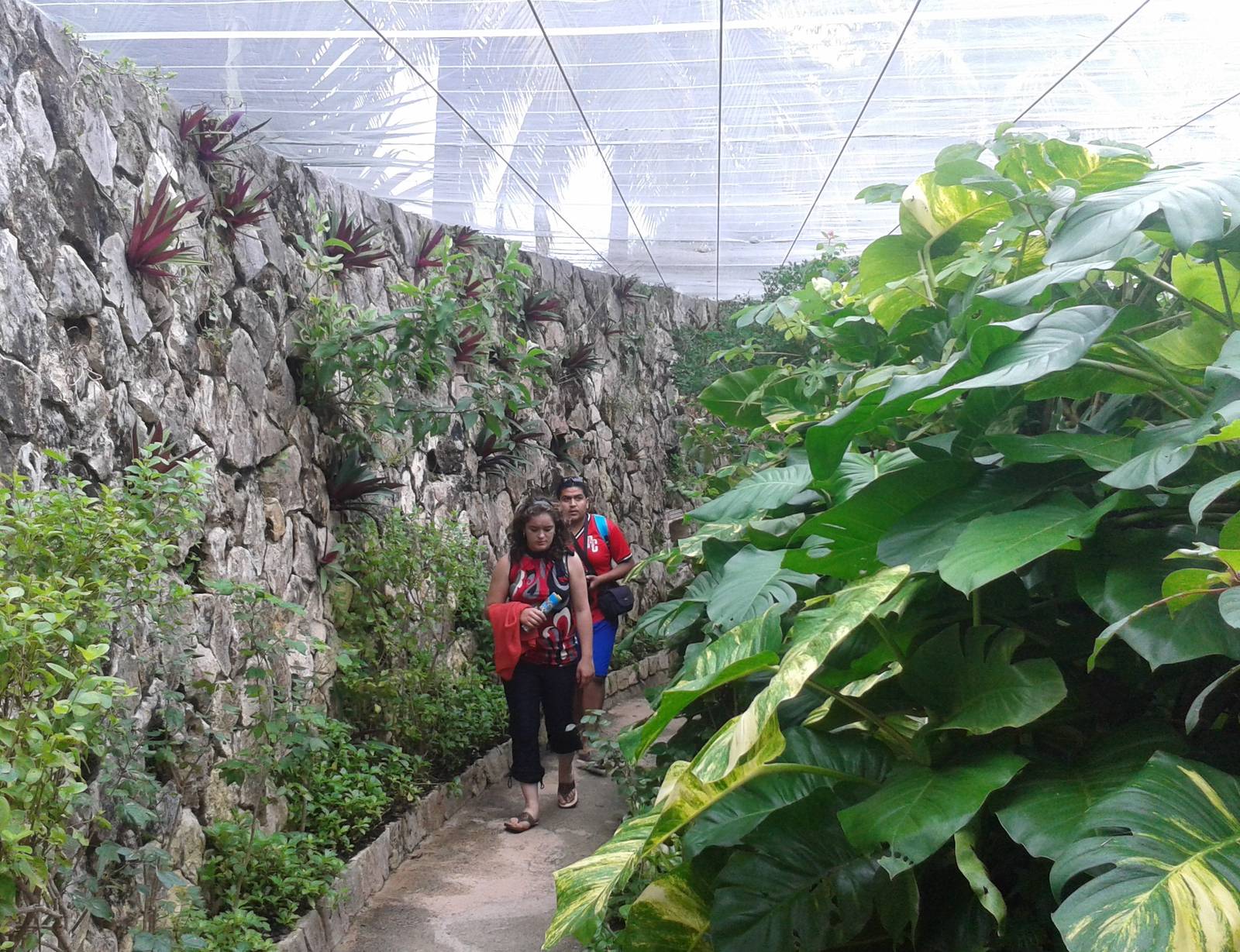 Inside the butterfly hall