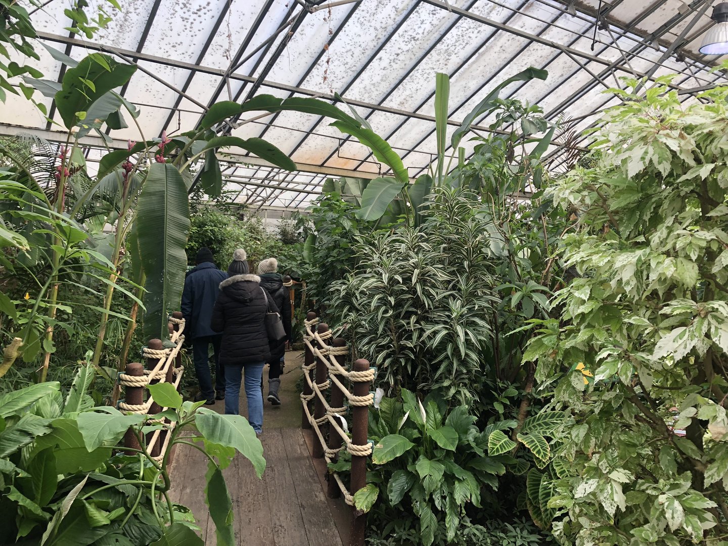 Inside the Butterfly House at Tropical Butterfly House (March 2023)