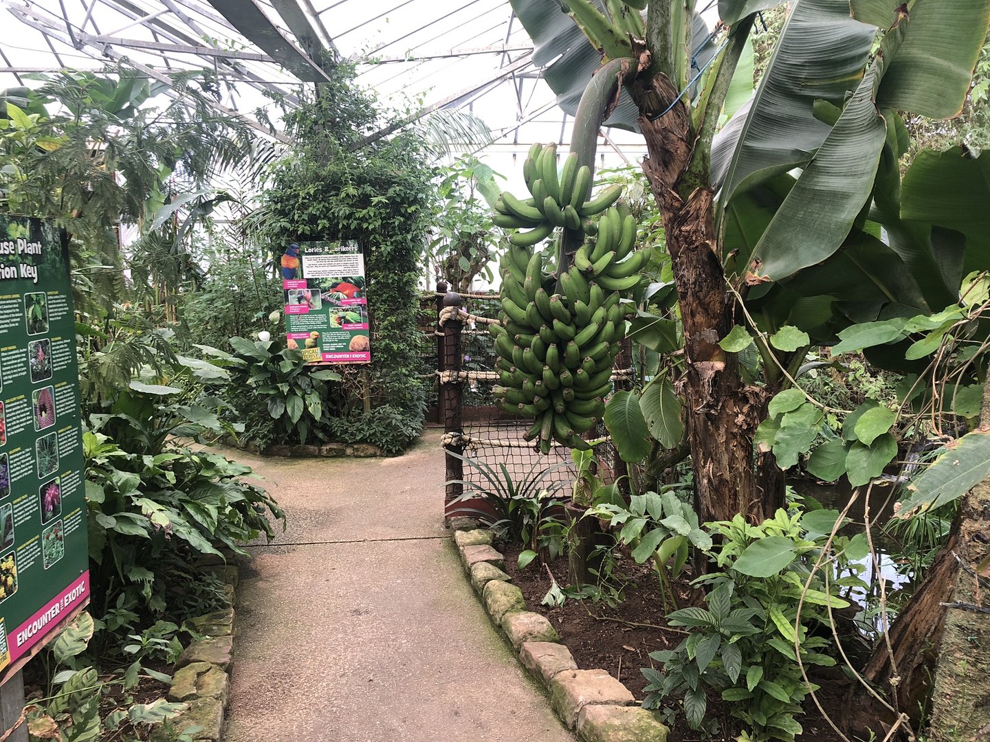Inside the Butterfly House at Tropical Butterfly House (March 2023)