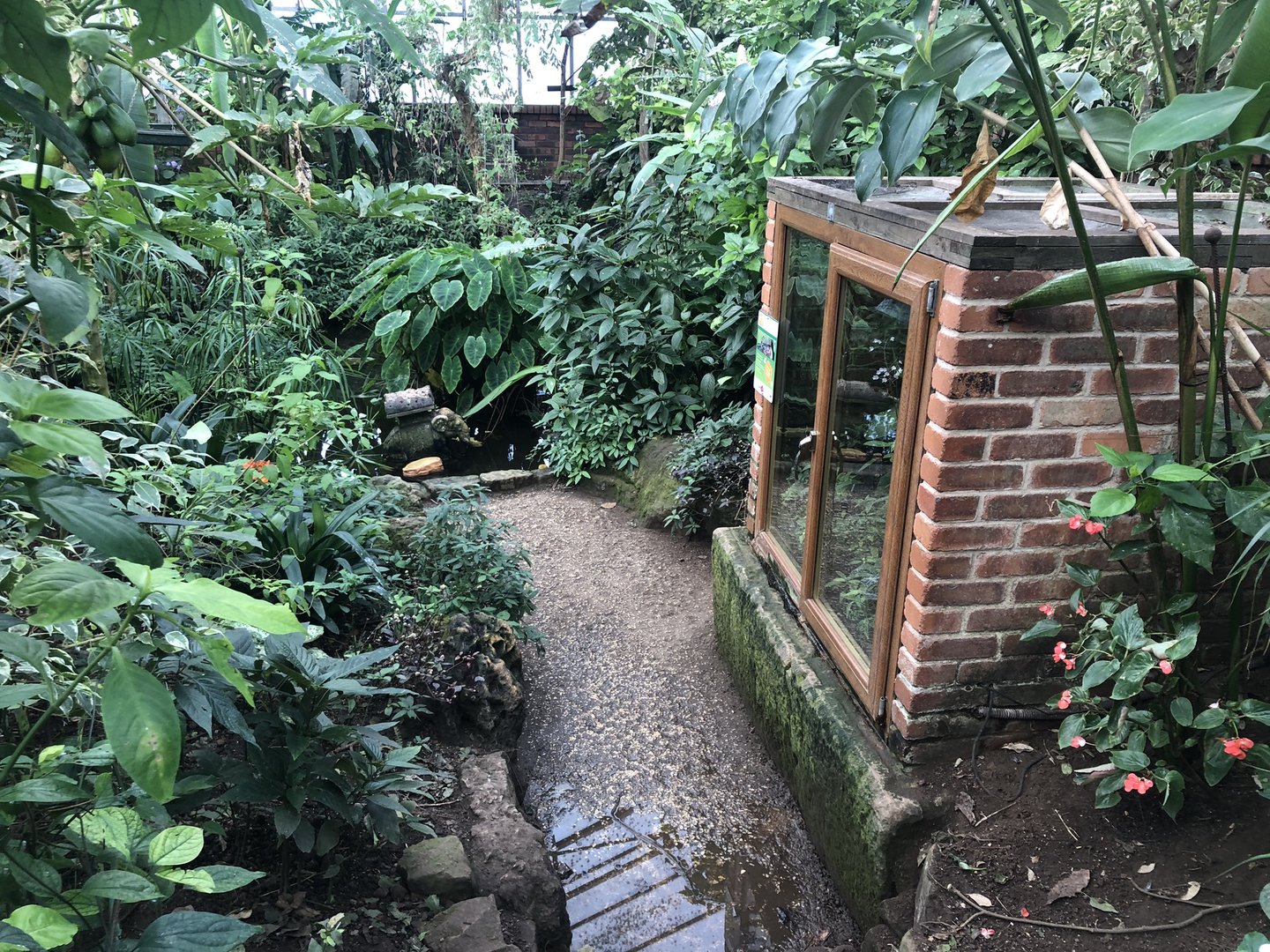 Inside the Butterfly House at Tropical Butterfly House (March 2023)