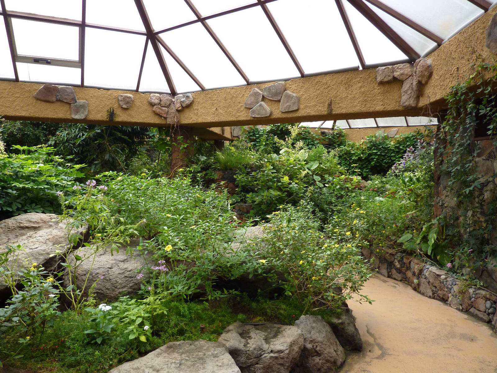 Inside the butterfly house