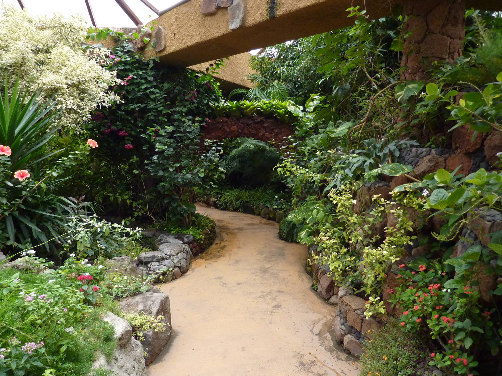 Inside the butterfly house