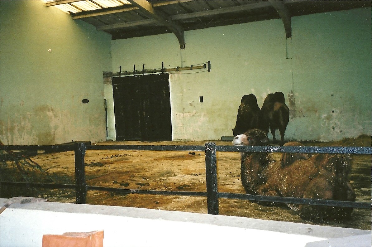 Inside the Camel (formerly Elephant) House, 2nd December 2000