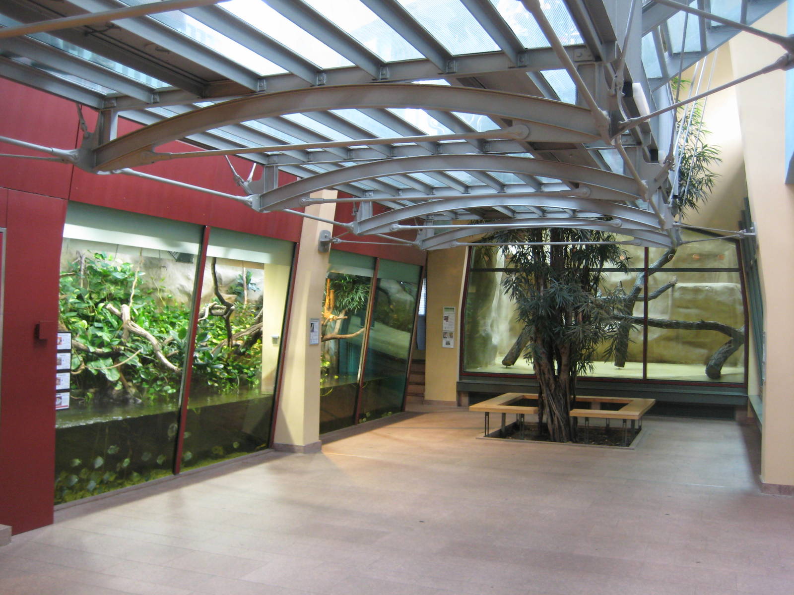 Inside the Carnivoure House