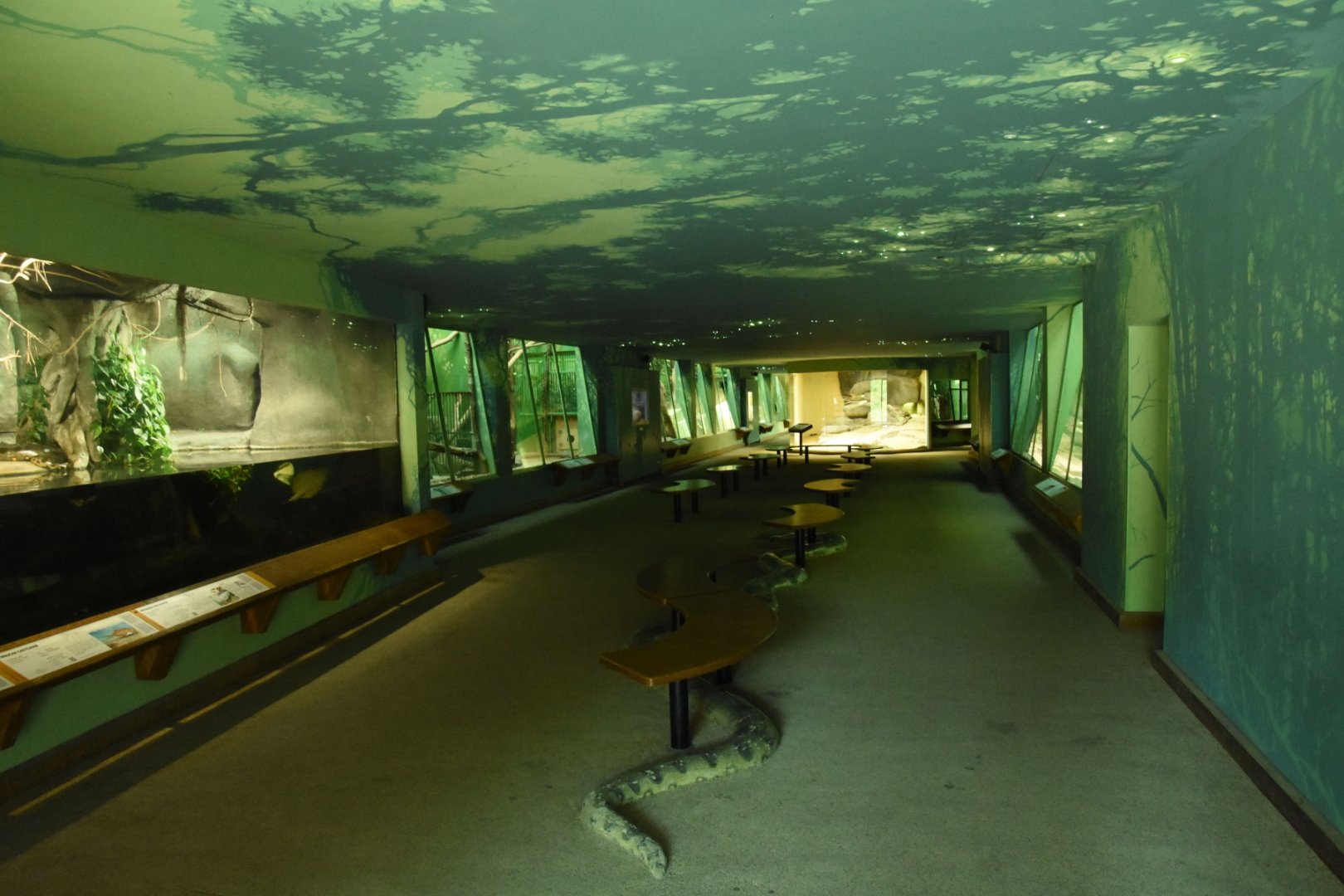 Inside the cat house