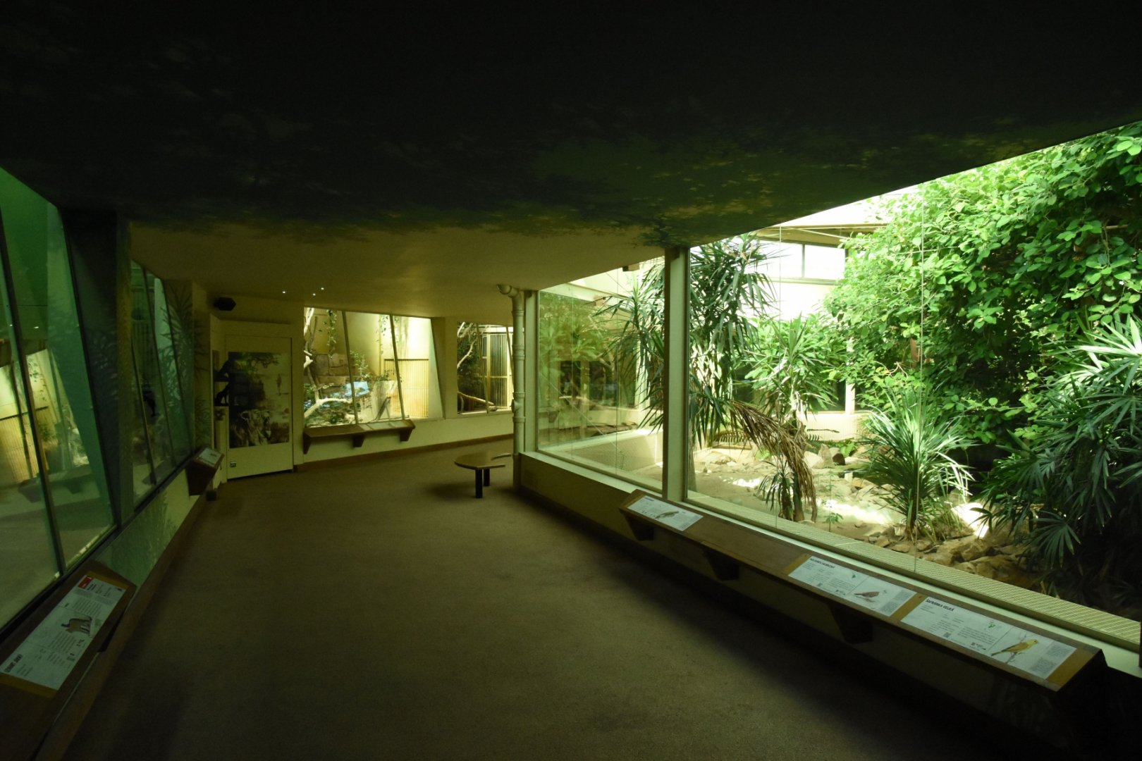 Inside the cat house