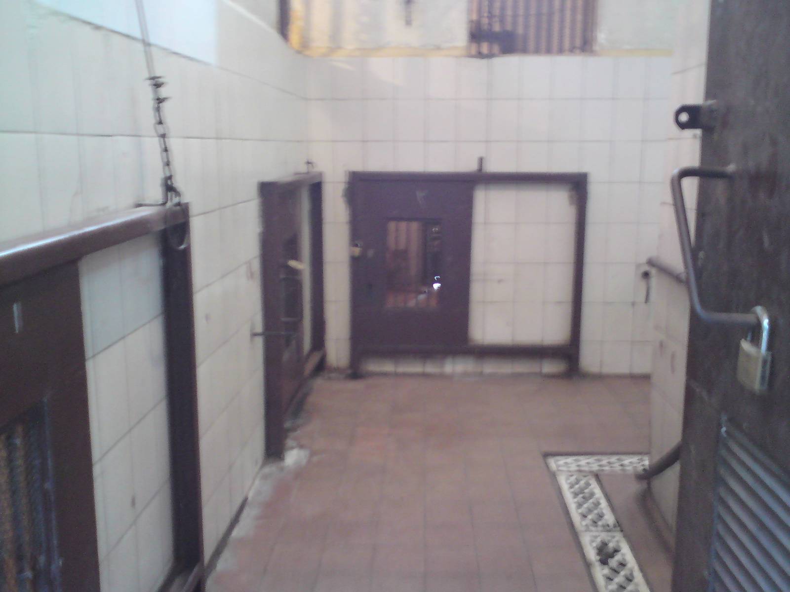 Inside the cat house