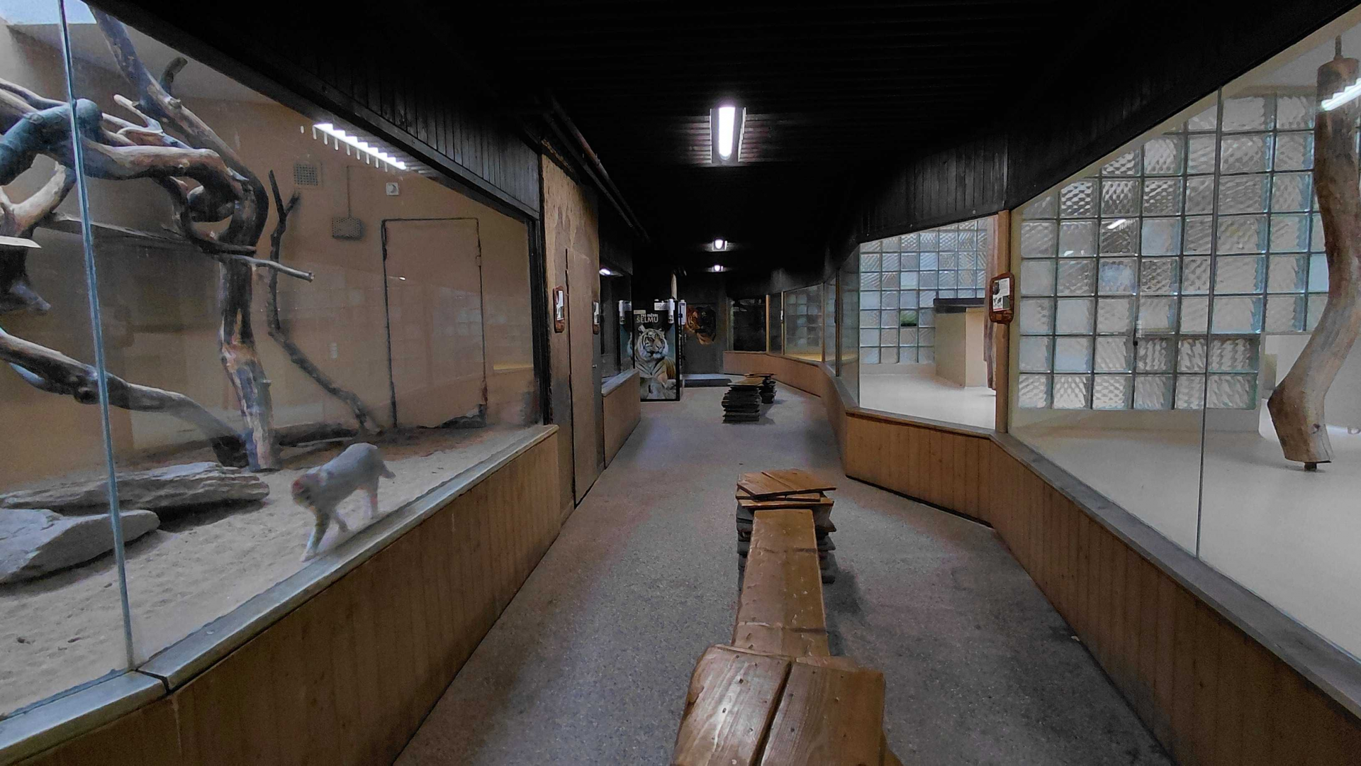 Inside the cat house