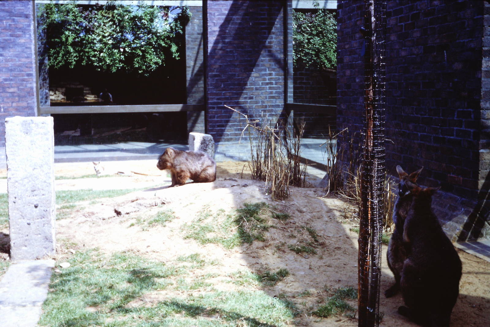 Inside the Clore, September 1967