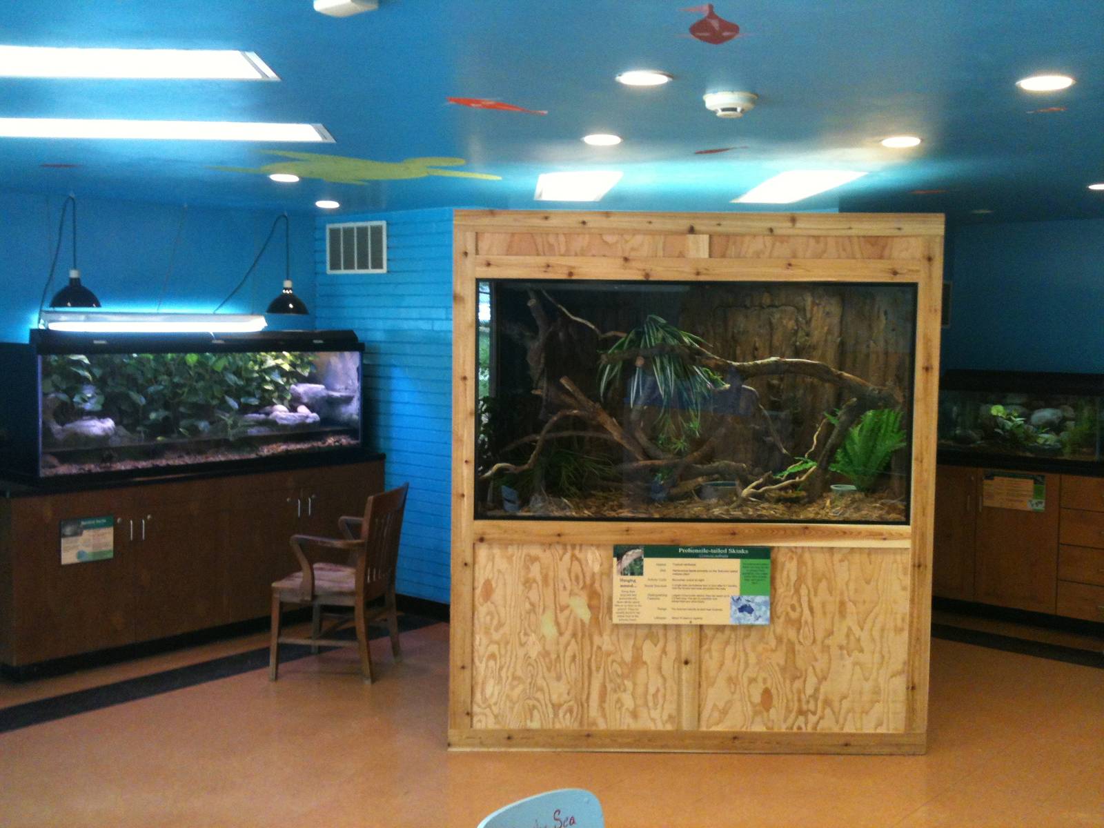 Inside the Conservation Center