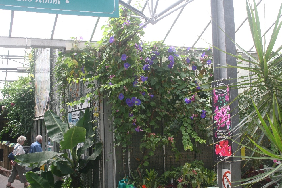 Inside the conservatory