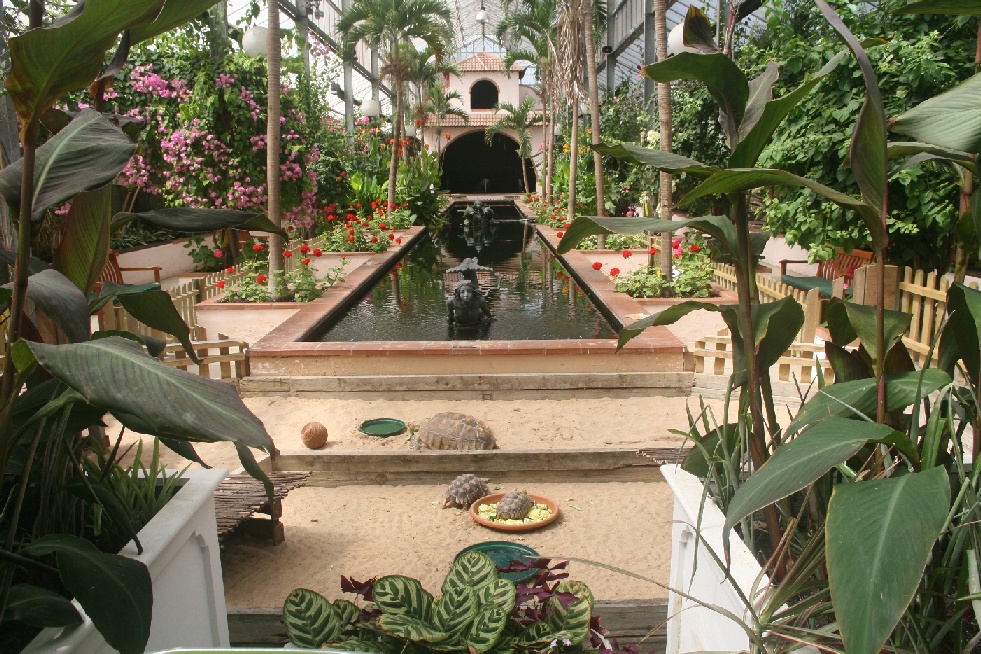 Inside the conservatory