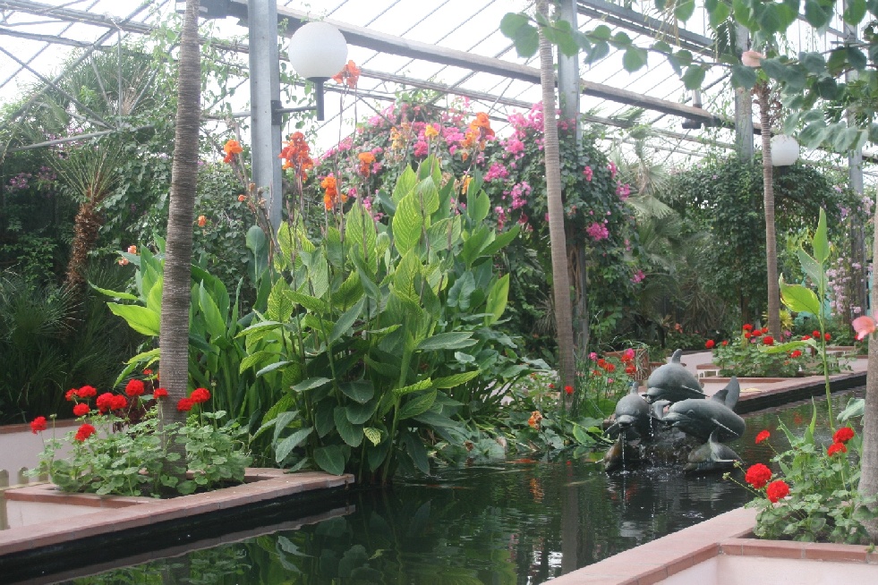 Inside the conservatory