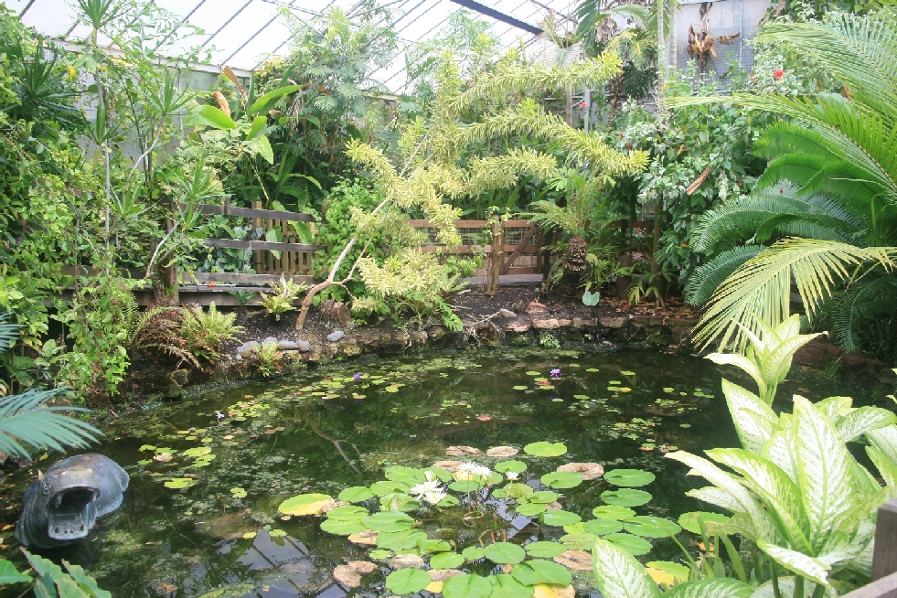 Inside the conservatory
