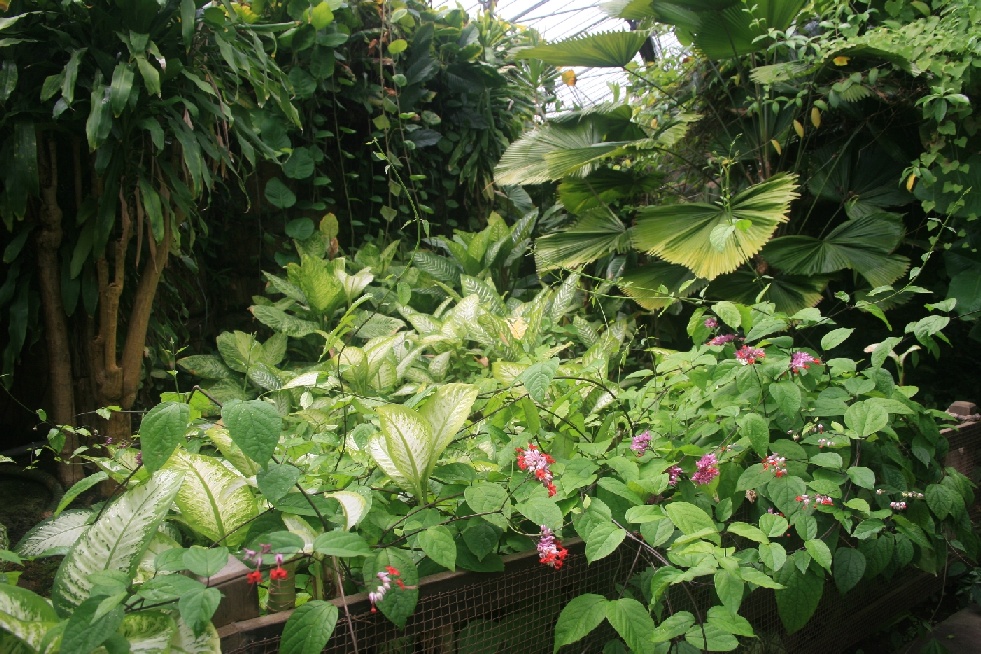 Inside the conservatory