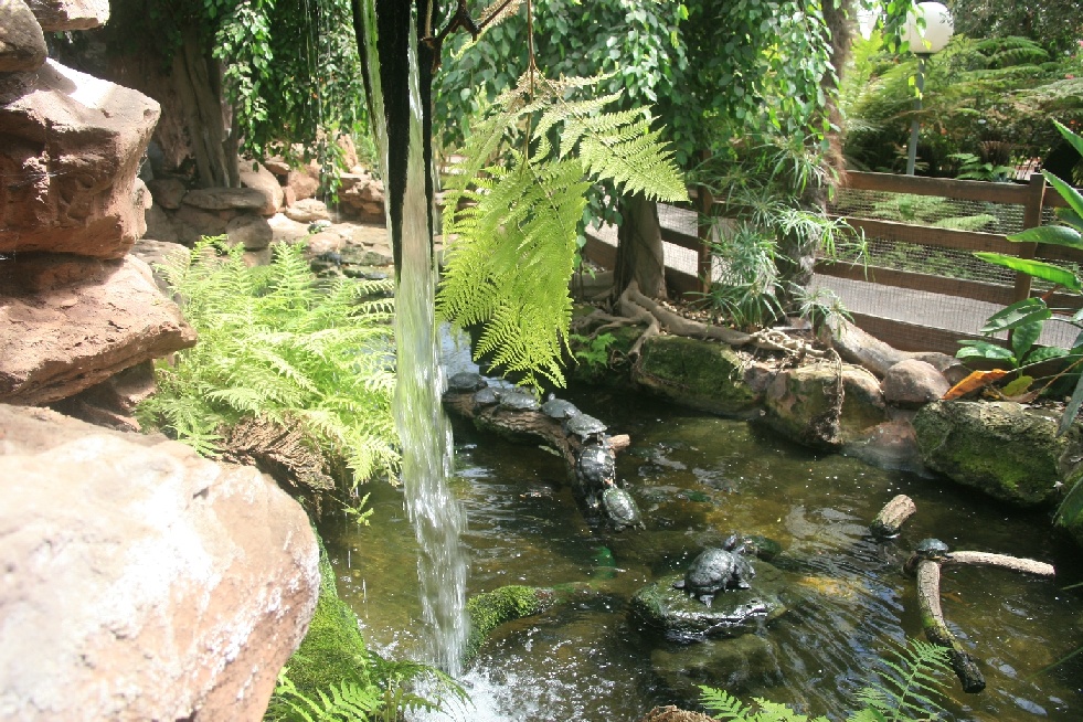 Inside the conservatory