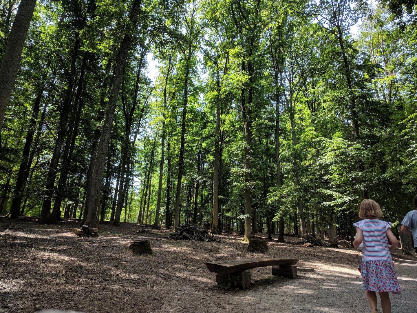 Inside the Deer Walkthrough