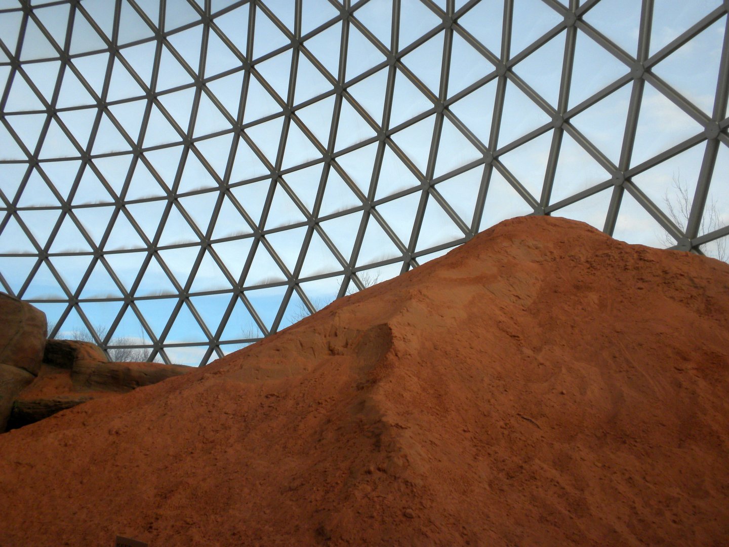 inside the Desert Dome 2010