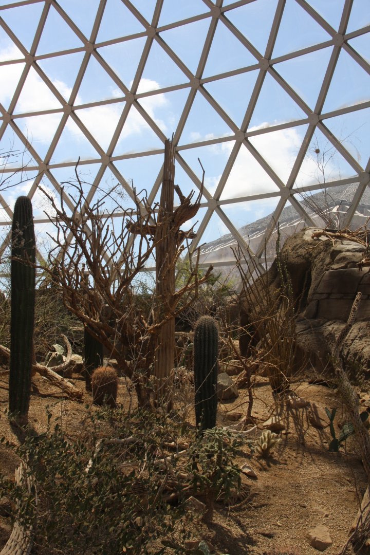 inside the Desert Dome 2013