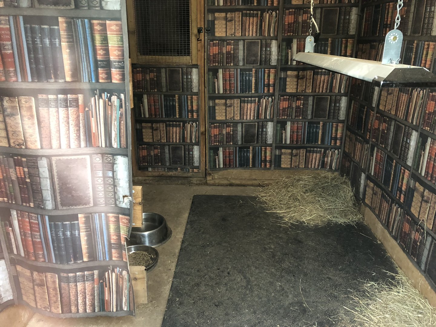 Inside the Dik-Dik House at Peak Wildlife Park (August 2023)