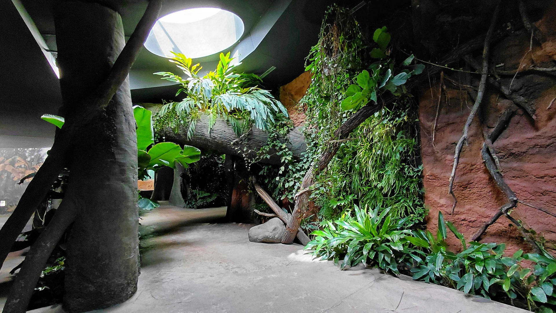 Inside the Dja pavilion