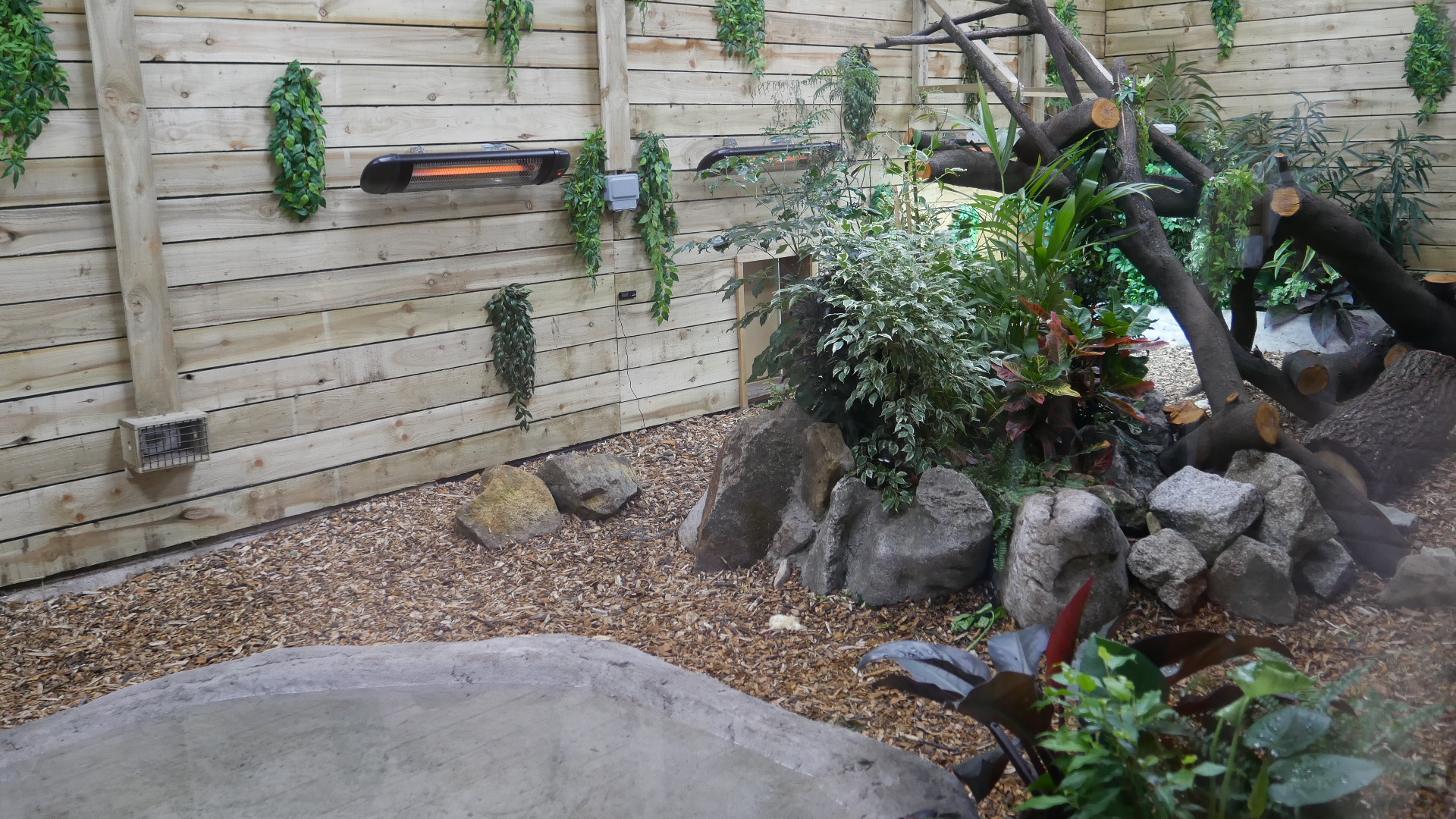 Inside the Dragon's Lair