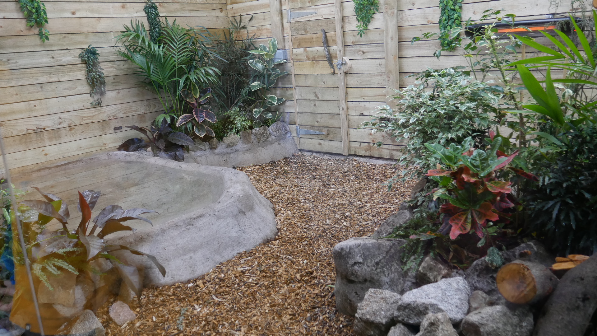 Inside the Dragon's Lair