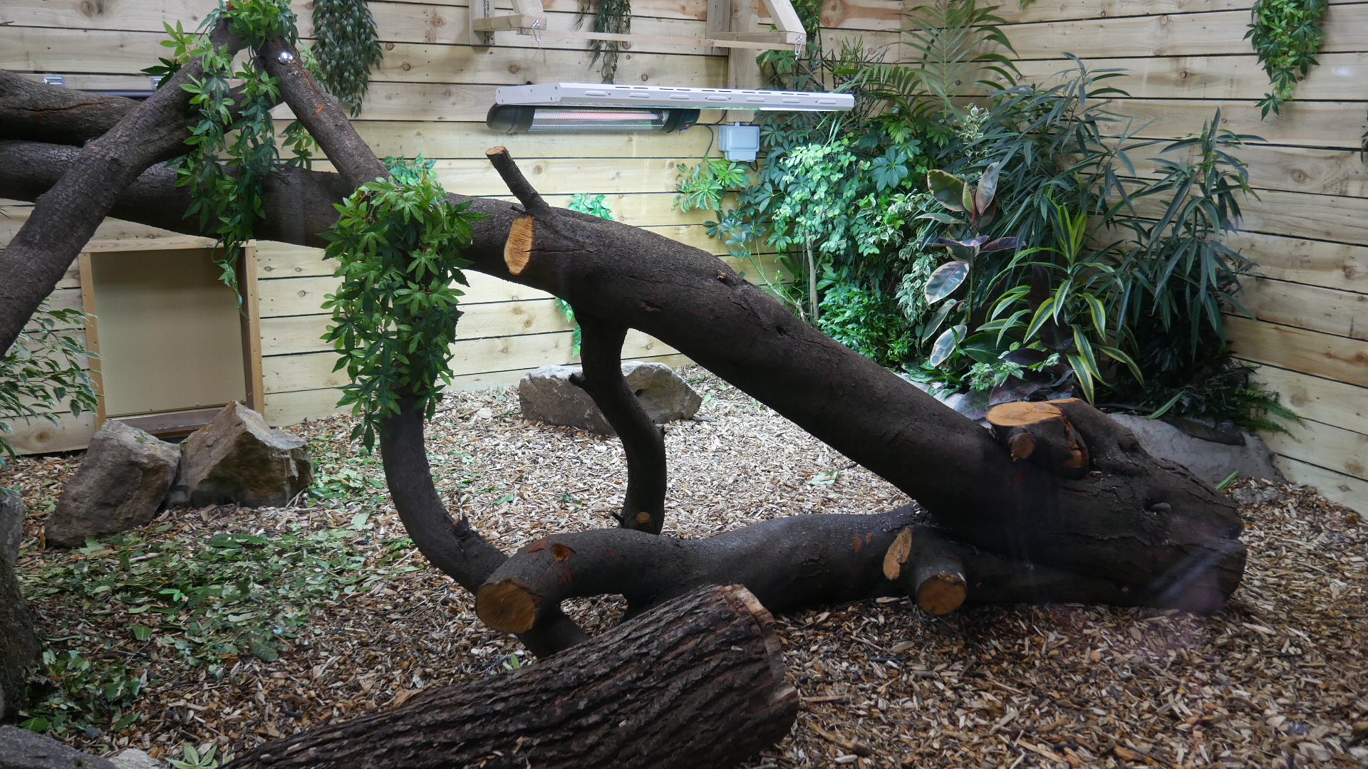 Inside the Dragon's Lair