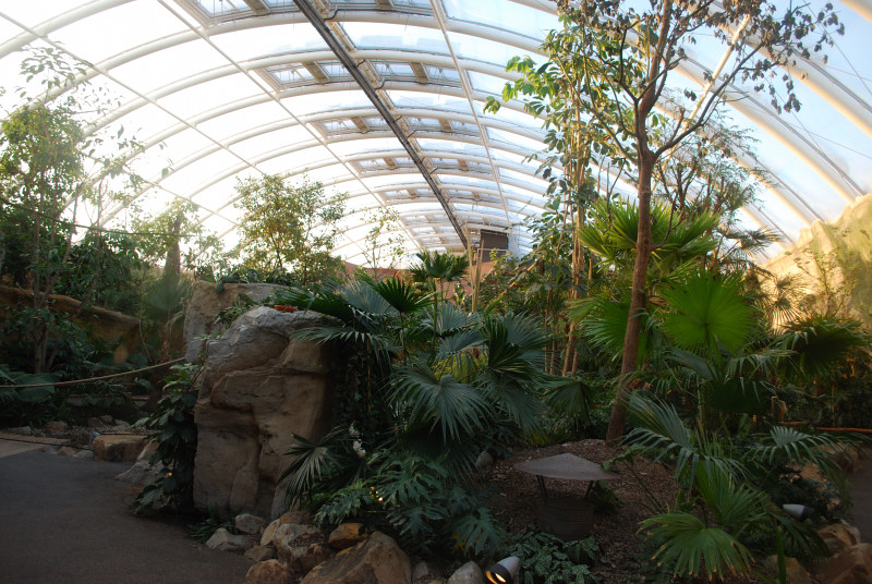 Inside the Ele-Tropicalhall