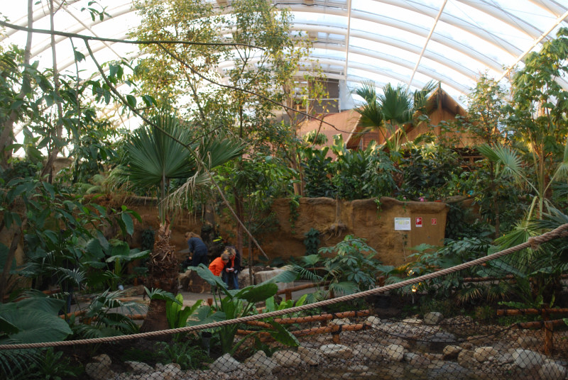 Inside the ELE-Tropicalhall