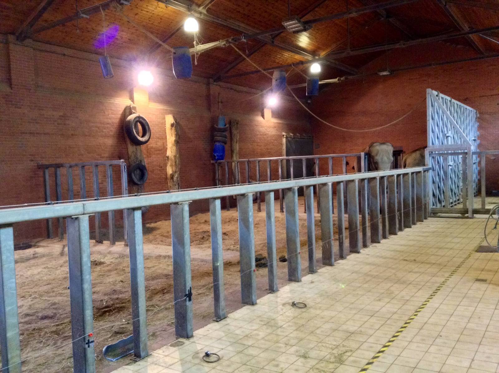 Inside the Elephant House 29.05.2014