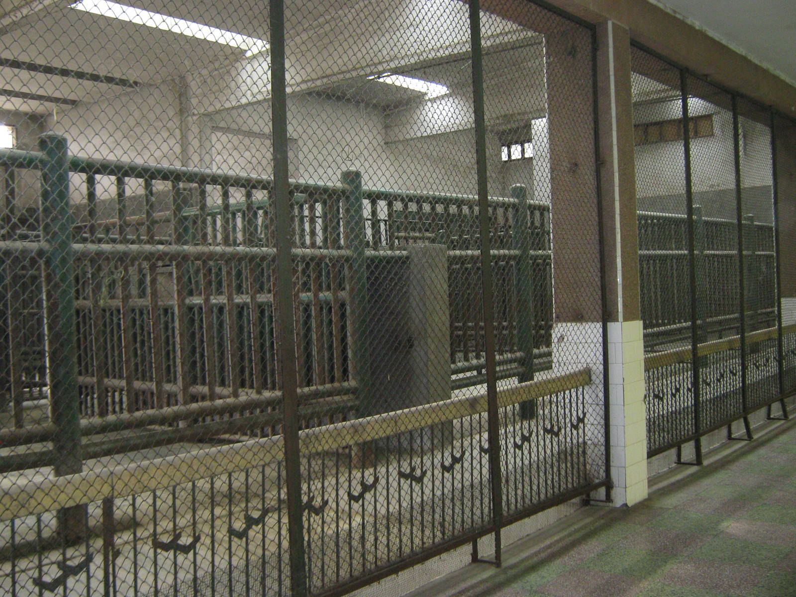 inside the elephant house