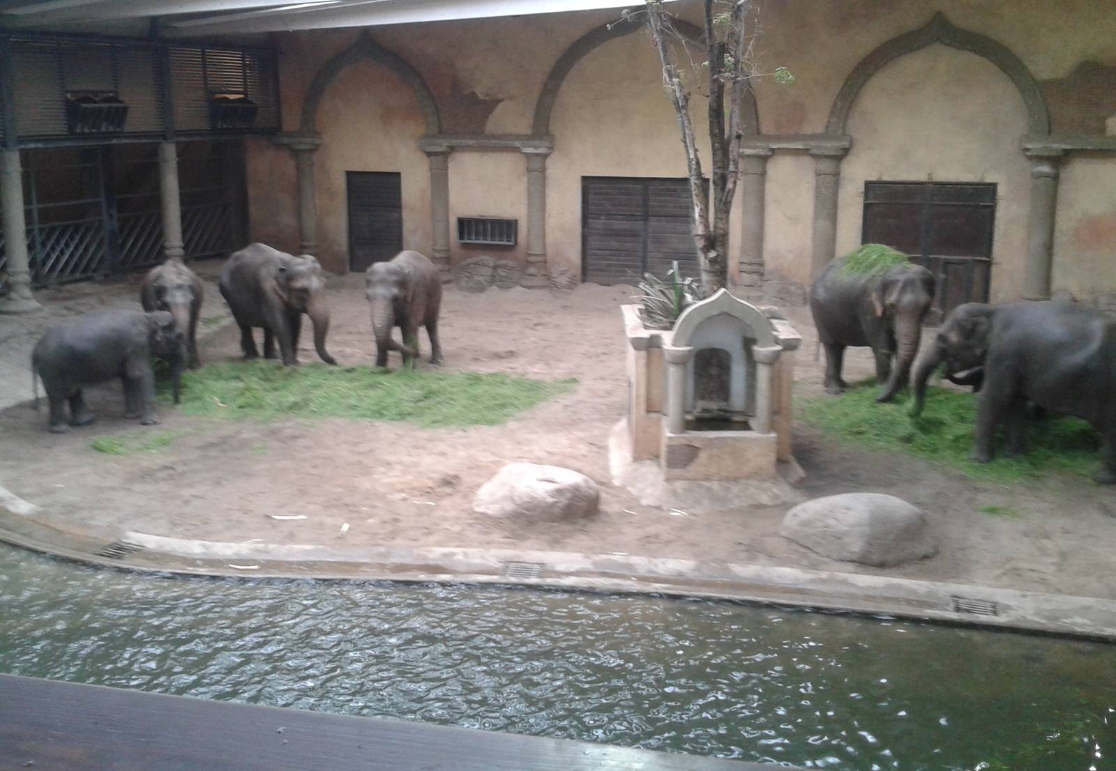 Inside the Elephant House