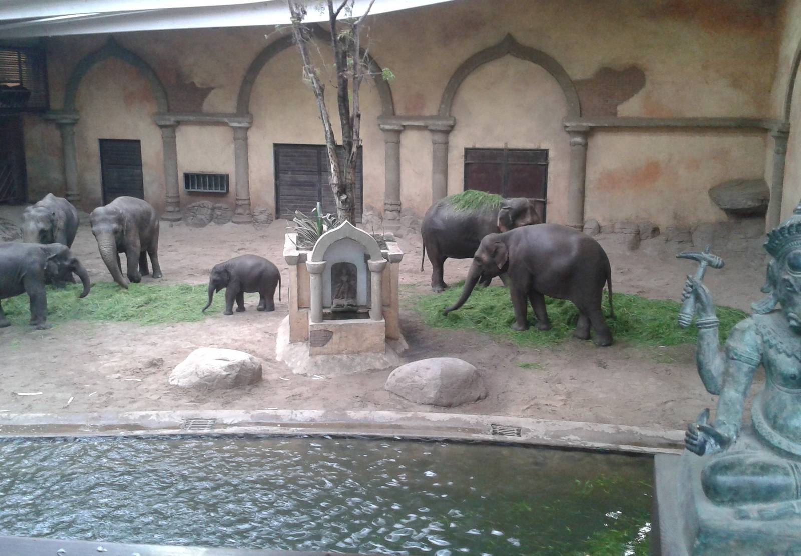 Inside the Elephant House