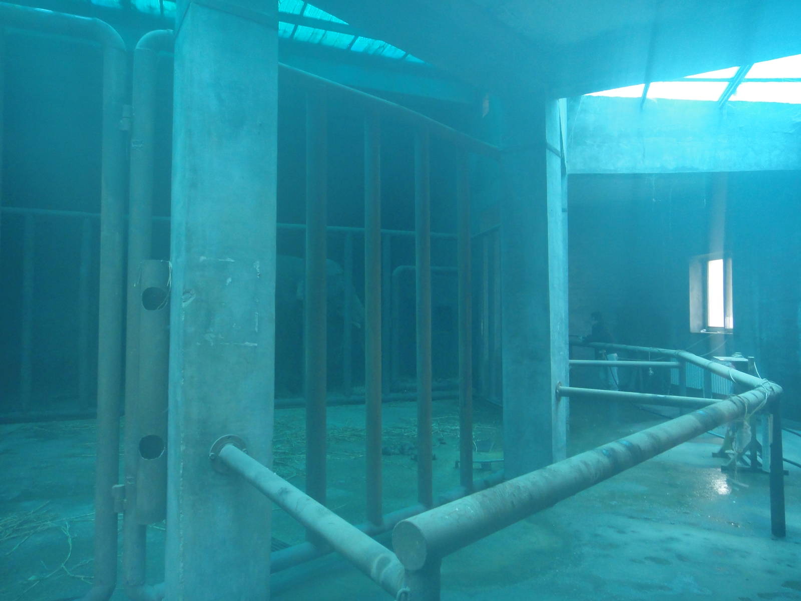 Inside the elephant house