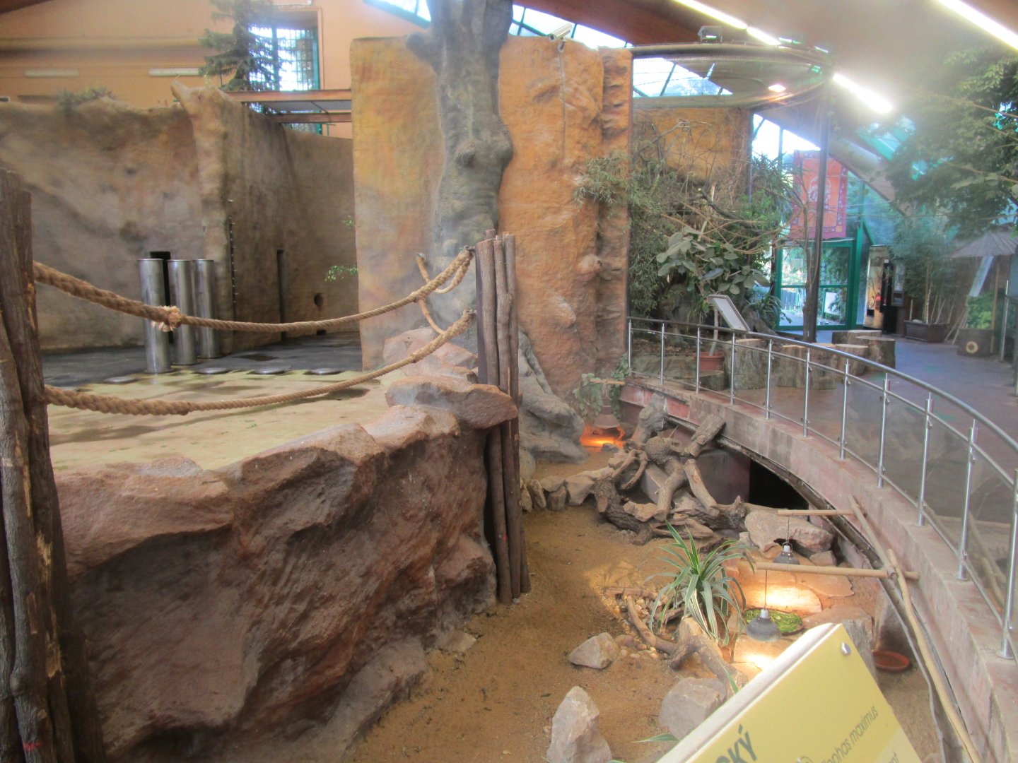 Inside the Elephant House