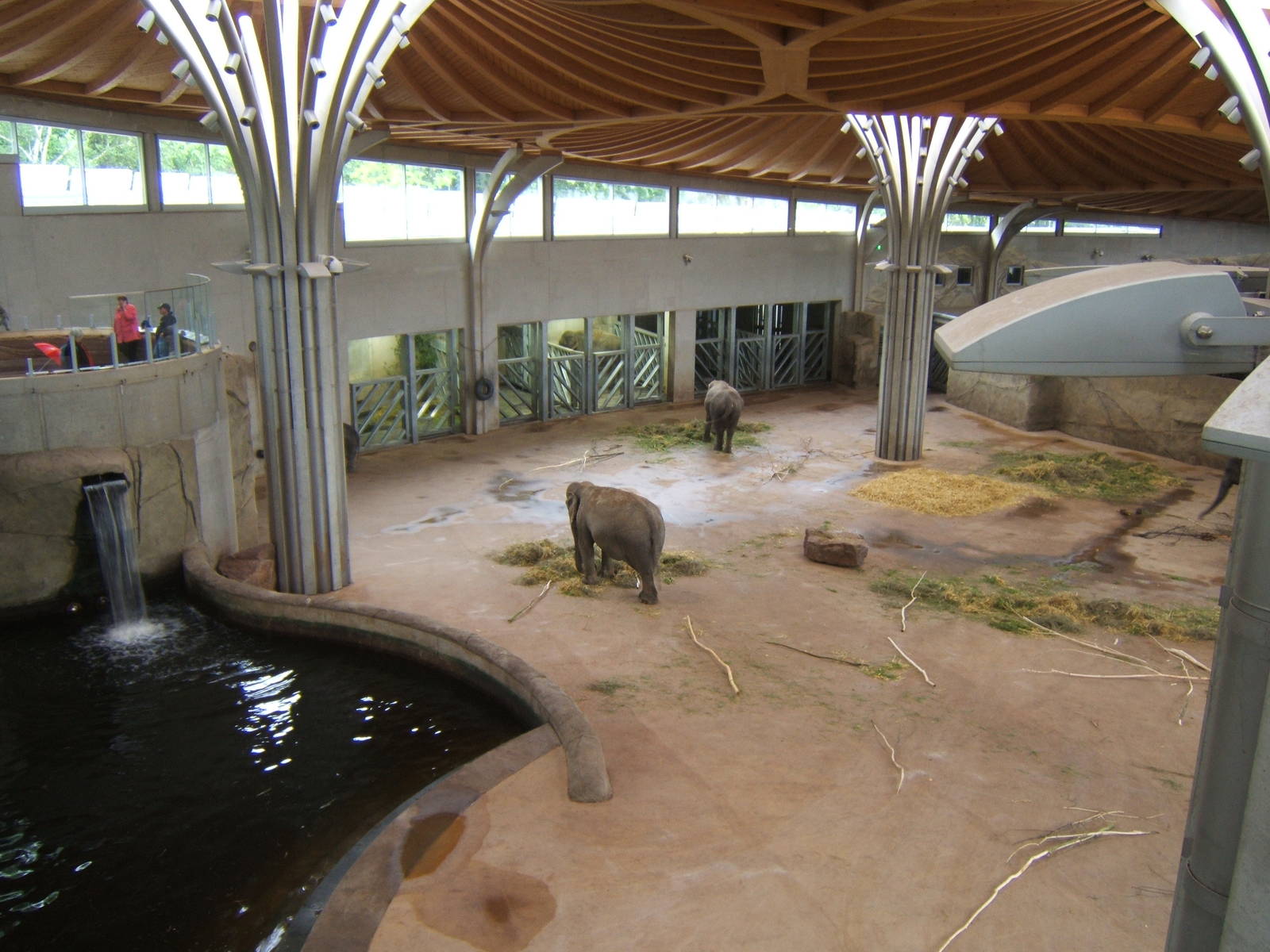 Inside the Elephant House