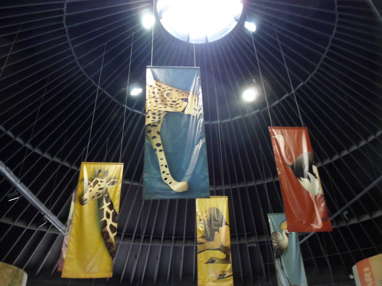 Inside the Entery Boma