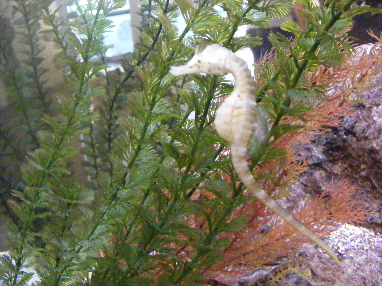 Inside the Envirodome - April, 2010