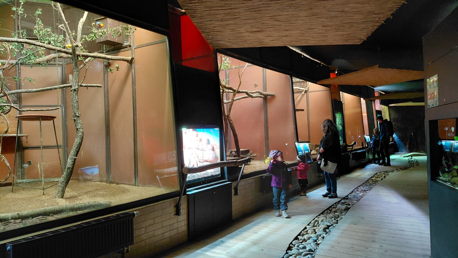 Inside the Exotarium house